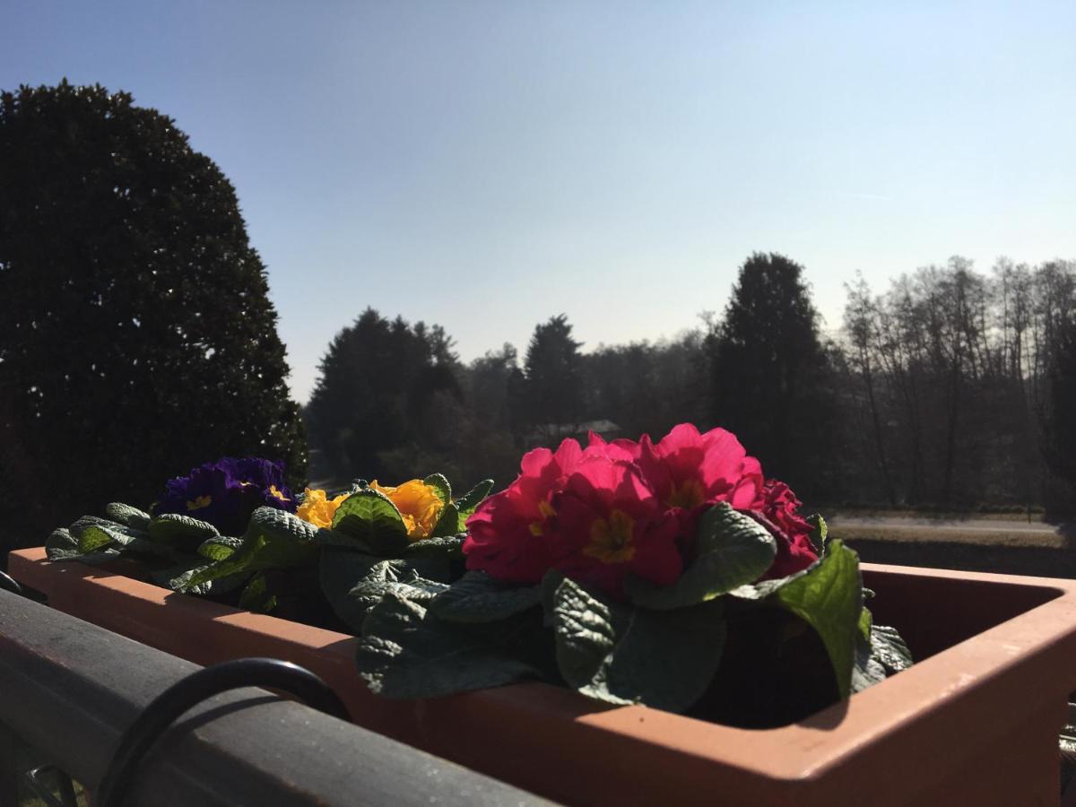 La Terrazza Sul Naviglio B&B Bernate Ticino Bagian luar foto